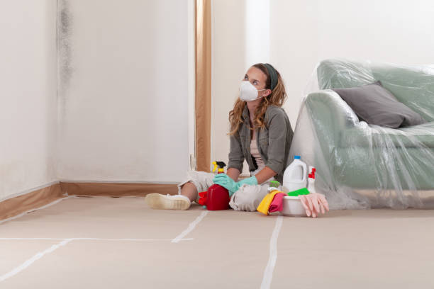 Reliable Mold Remediation contractor in San Antonio, TX by WQB Mold Removal